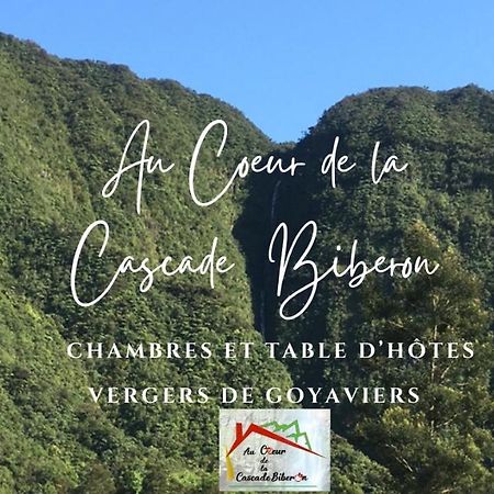 Au Coeur De La Cascade Biberon Bed & Breakfast Ла Плен де Палмист Екстериор снимка
