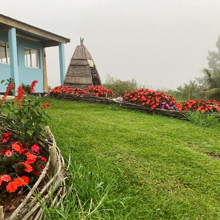 Au Coeur De La Cascade Biberon Bed & Breakfast Ла Плен де Палмист Екстериор снимка