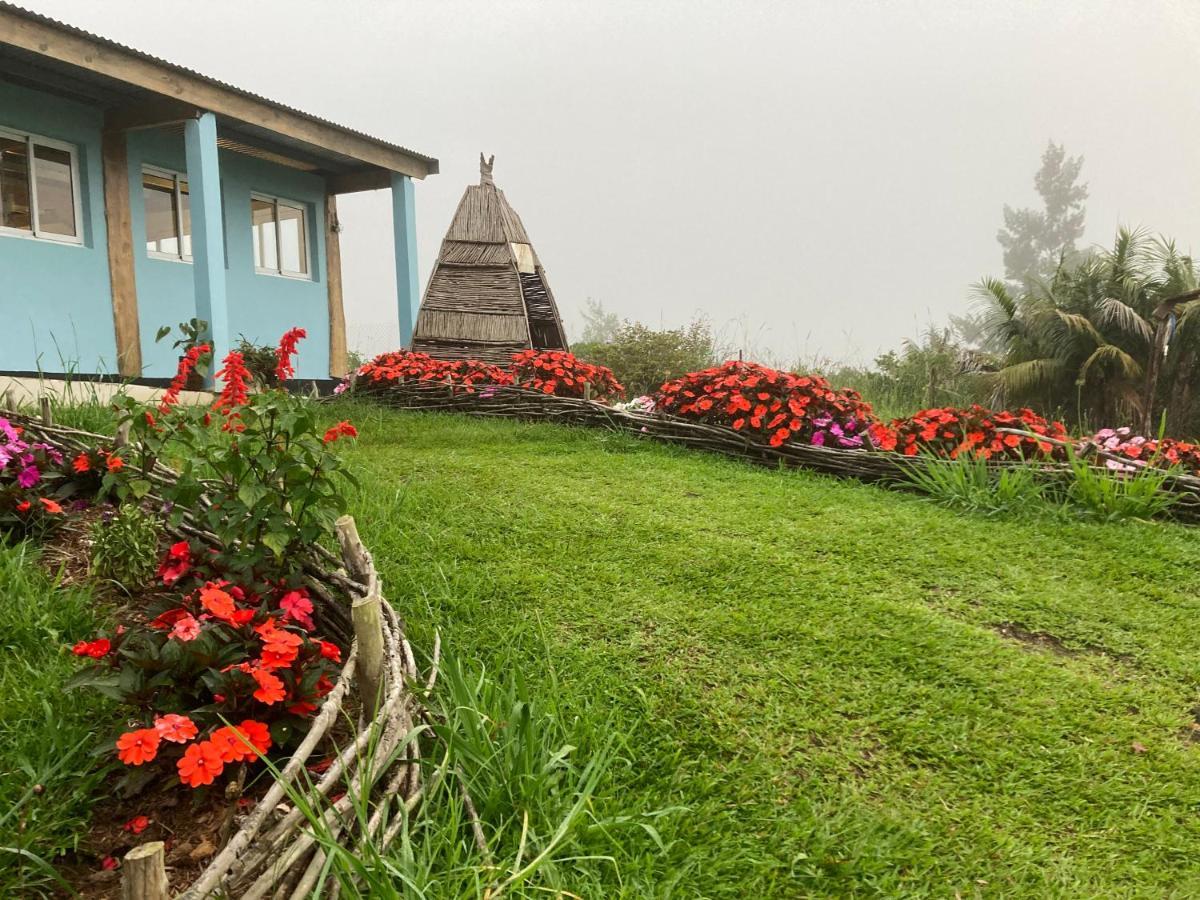 Au Coeur De La Cascade Biberon Bed & Breakfast Ла Плен де Палмист Екстериор снимка